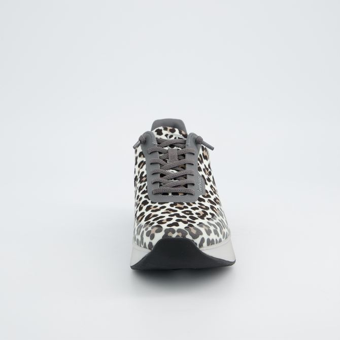 tenhaag wavehaag - Grau / Leo-Optik - Frontansicht