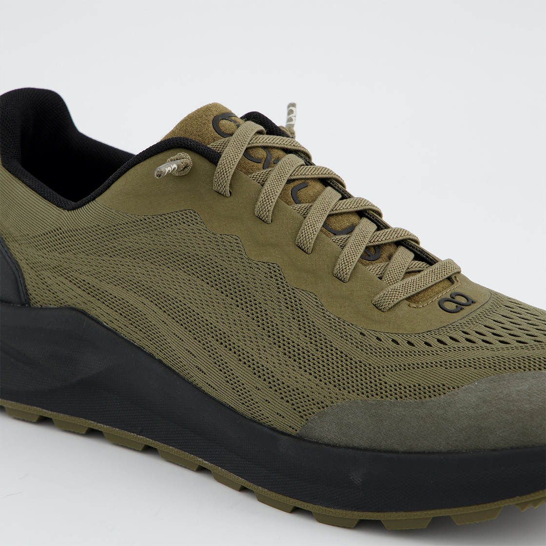 tenhaag spirithaag - Grün