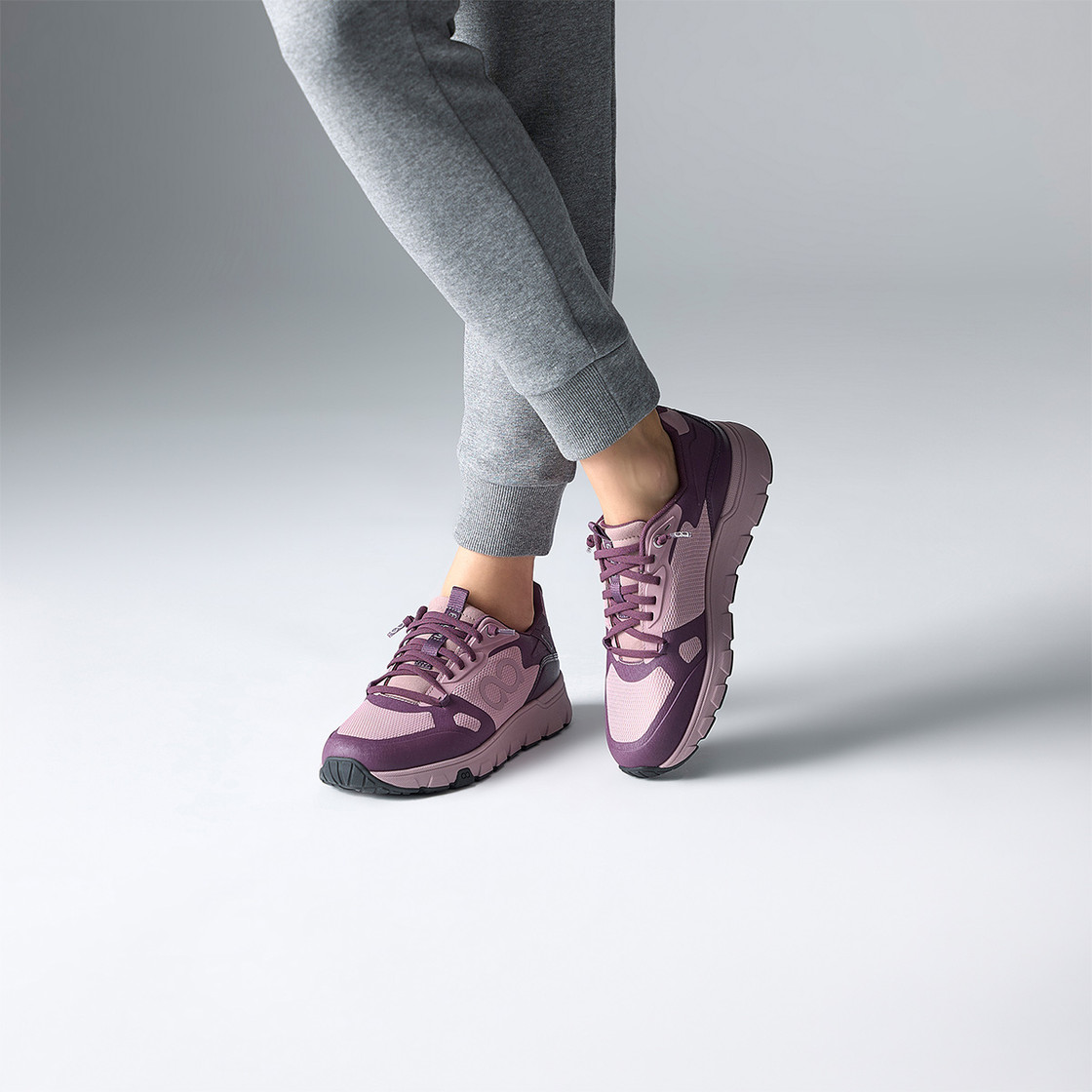 tenhaag stormhaag WP - Lila - Sonderbild